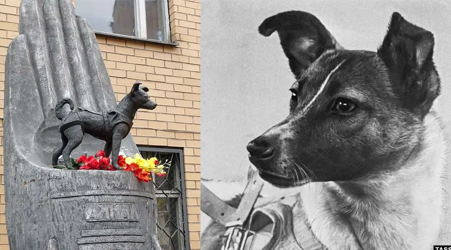The Sad Story of Laika, the Space Dog, and Her One-Way Trip into Orbit